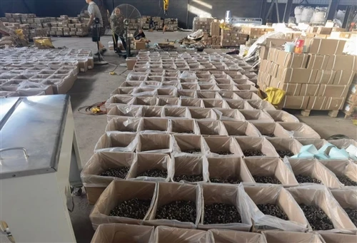 Indian Client Visit: Custom Fastener Order & Bespoke Packaging On The Horizon